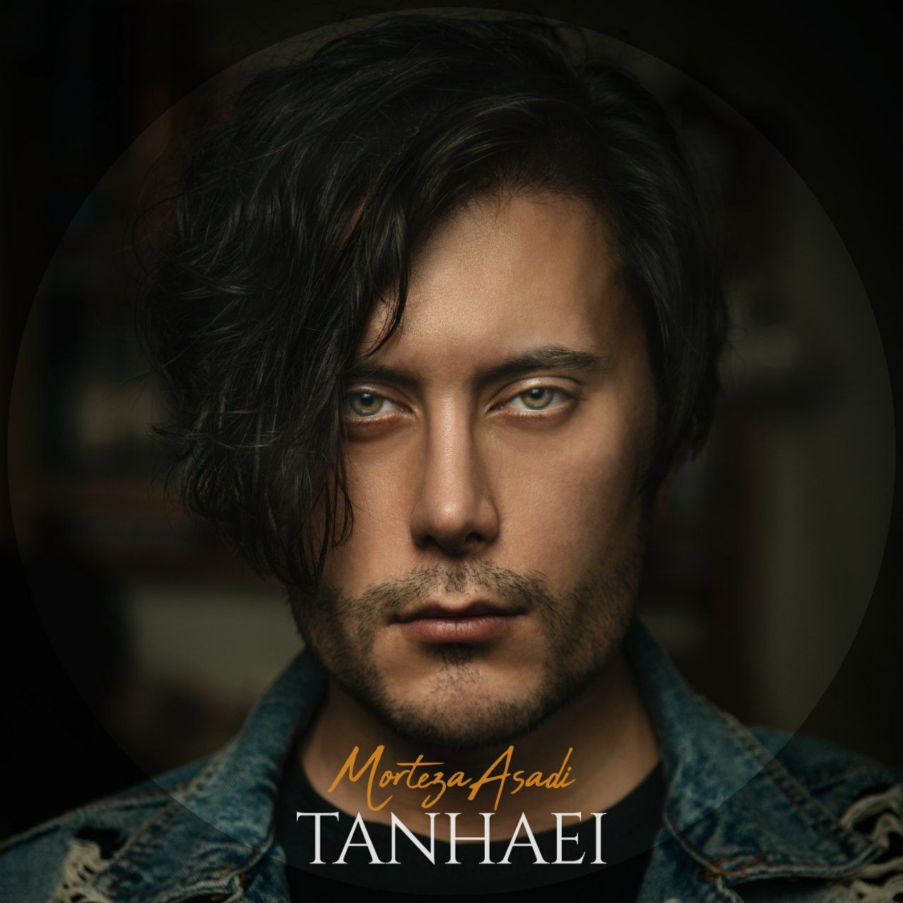 Morteza Asadi - Tanhaei