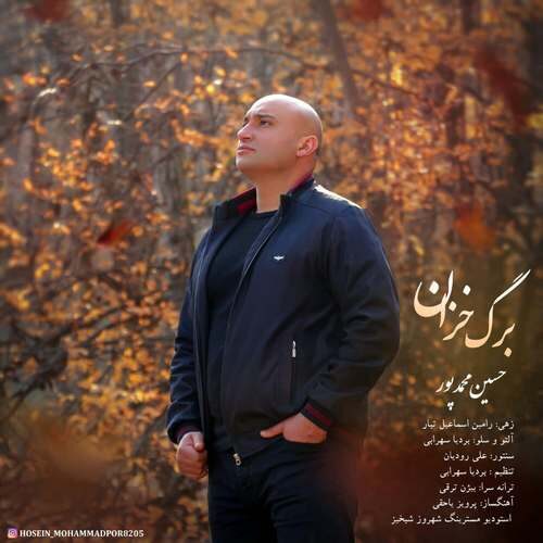 Hossein MohammadPour - Barg Khazan