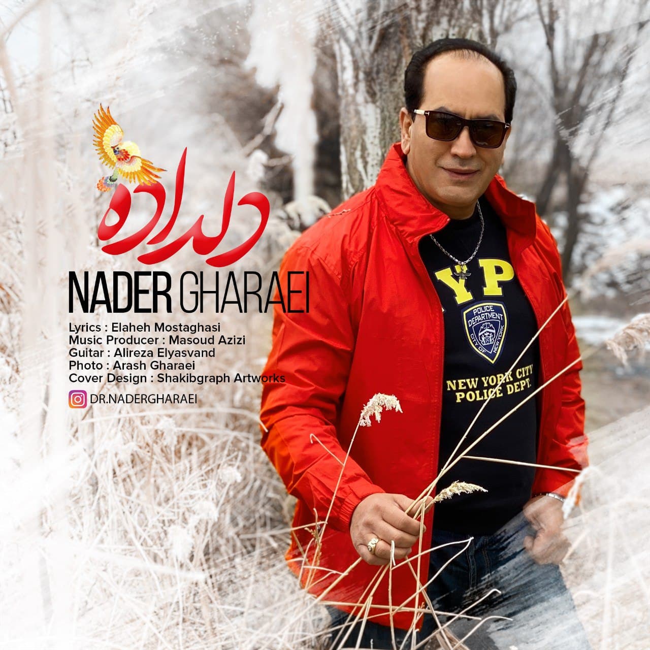 Nader Gharaei - Deldade