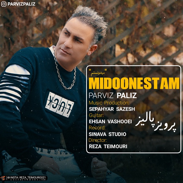 Parviz Paliz - Midoonestam