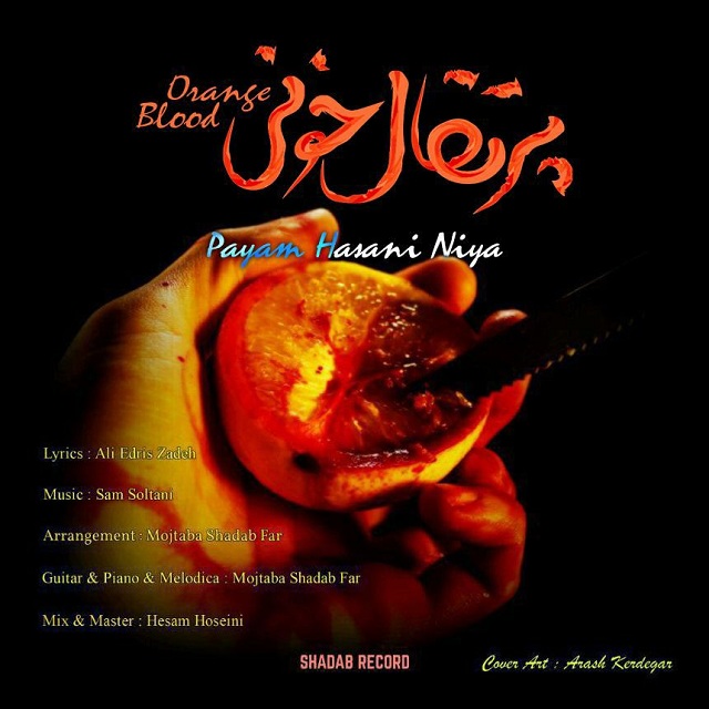 Payam Haasani Nia - Porteghal Khoni