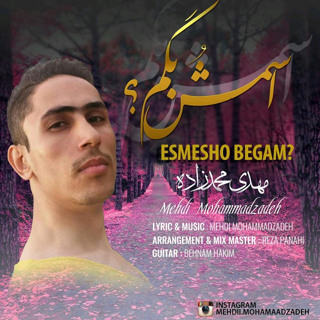 Mehdi Mohammadzadeh - Esmesho Begam