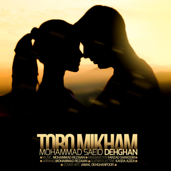 Mohammad Saeid Dehghan - Toro Mikham