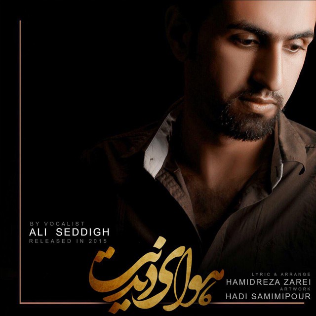 Ali Seddigh - Havaye Didanet