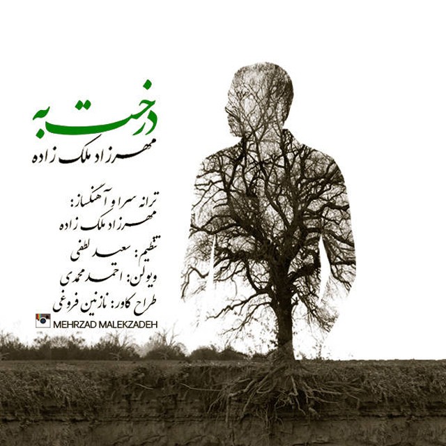 Mehrzad Malekzadeh - Derakhte Beh