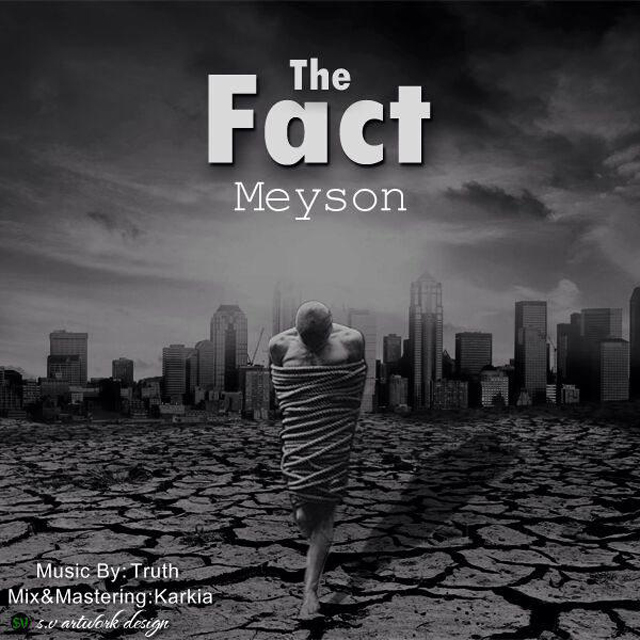 Meyson - The Fact