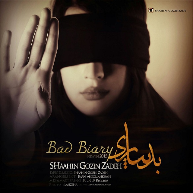 Shaahin Gozin Zadeh - Bad Biary