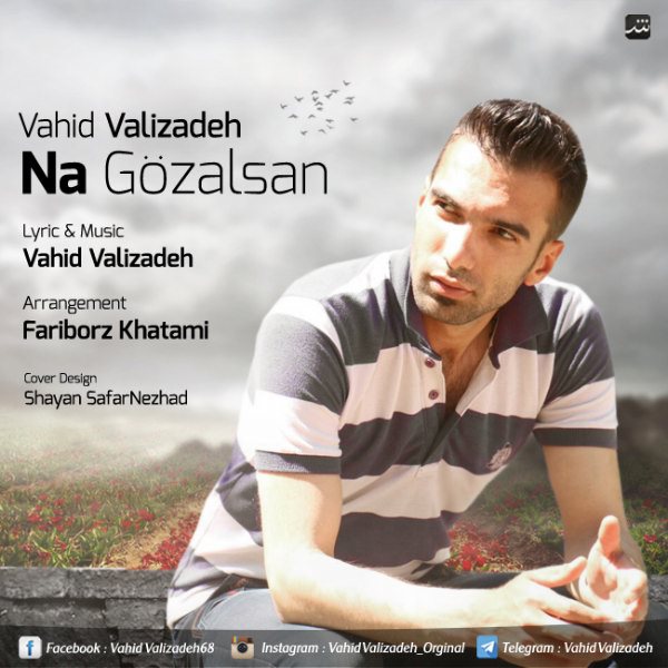 Vahid Valizadeh - Na Gozalsan