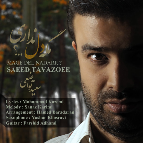 Saeed Tavazoee - Mage Del Nadari