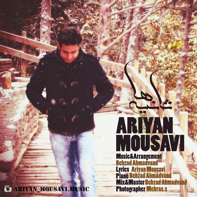 Ariyan Mousavi - Saniyeha