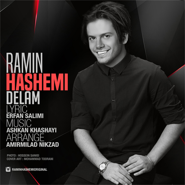 Ramin Hashemi - Delam