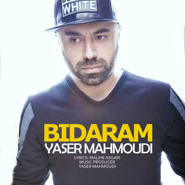 Yaser Mahmoudi - Bidaram