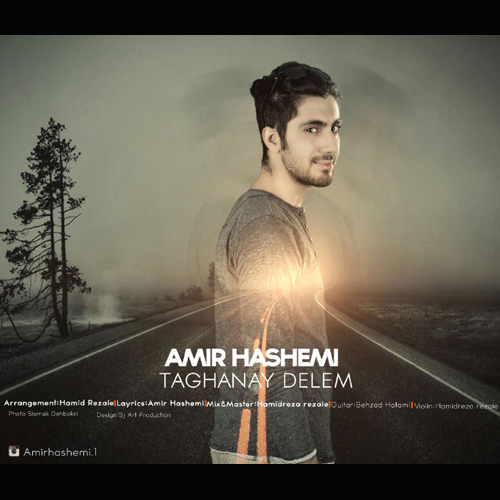 Amir Hashemi - Taghaney Delem