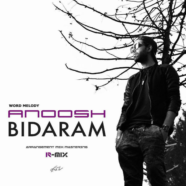 Anoosh - Bidaram