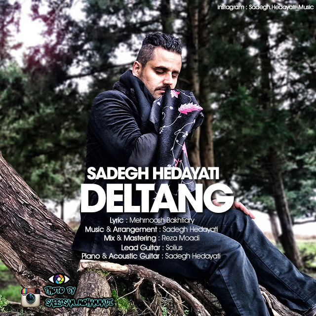 Sadegh Hedayati - Deltang