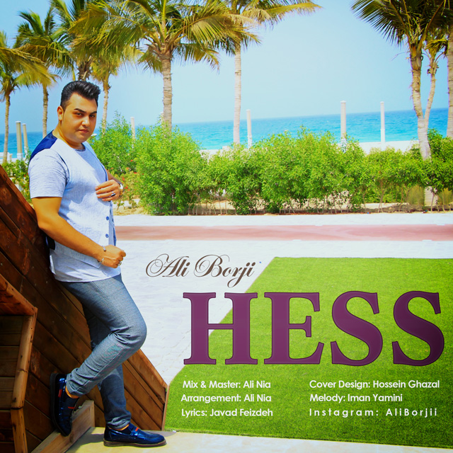 Ali Borji - Hess