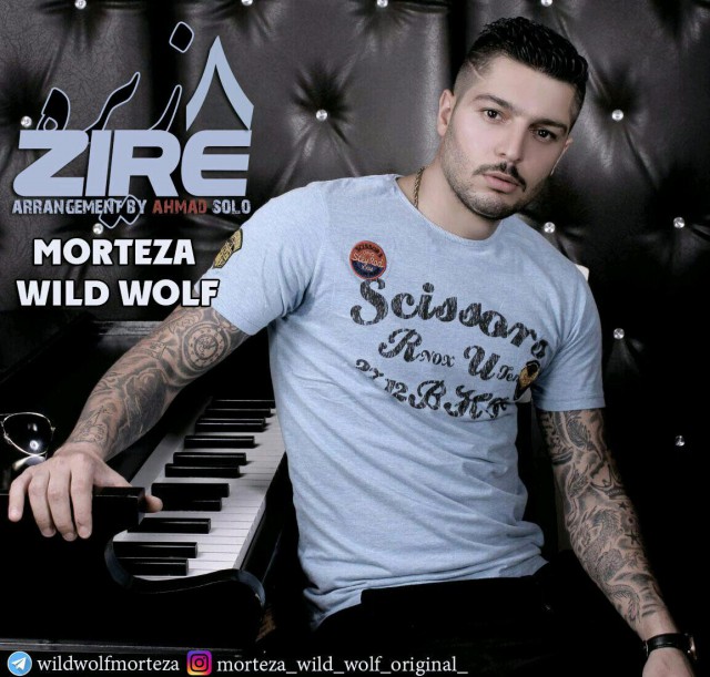 Morteza Wild Wolf - Zire8