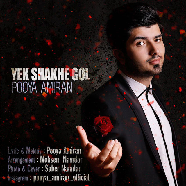 Pooya Amiran - Yek Shakhe Gol