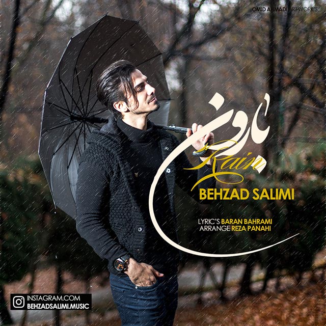 Behzad Salimi - Baroon