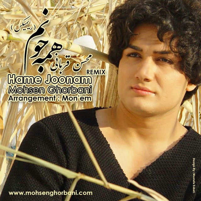 Mohsen Ghorbani - Hame Joonam (Remix).