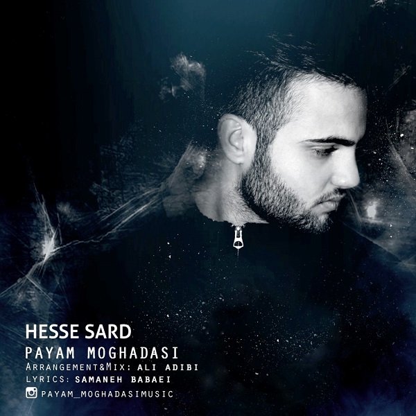 Payam Moghadasi - Hesse Sard