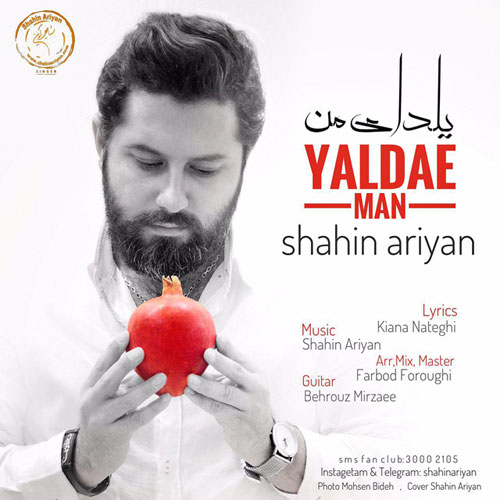 Shahin Ariyan - Yaldae Man