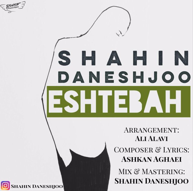 Shahin Daneshjoo - Eshtebah