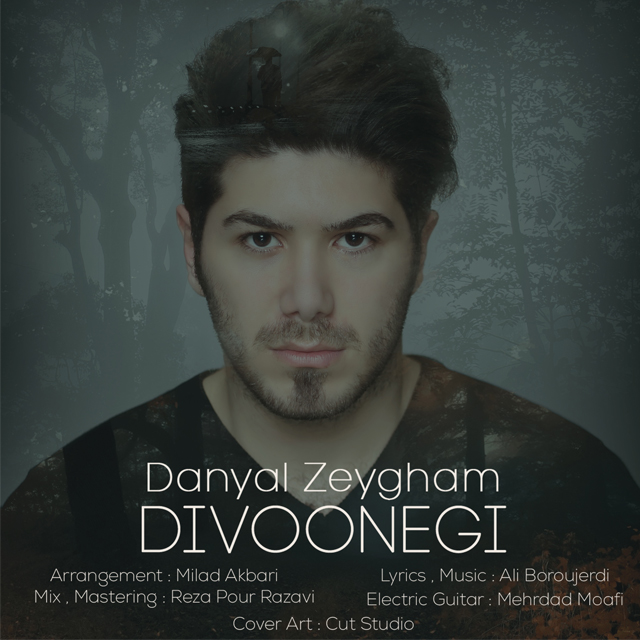 Danyal Zeygham - Divoonegi