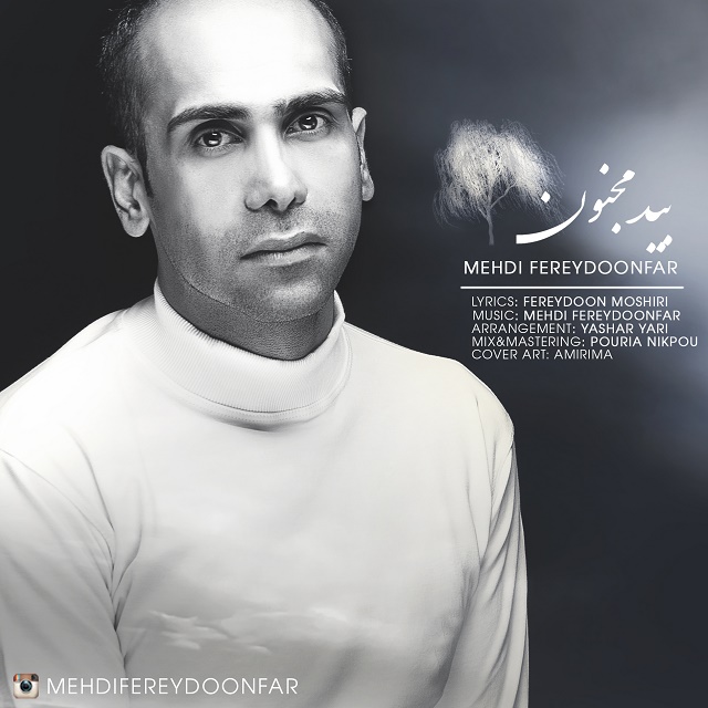 Mehdi Fereydoonfar - Bide Majnoon