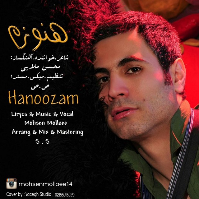 Mohsen Mollaee - Hanoozam