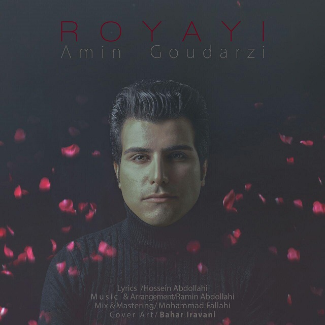 Amin Goudarzi - Royayi