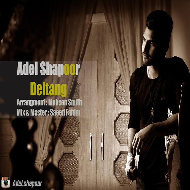 Adel Shapoor - Del Tang