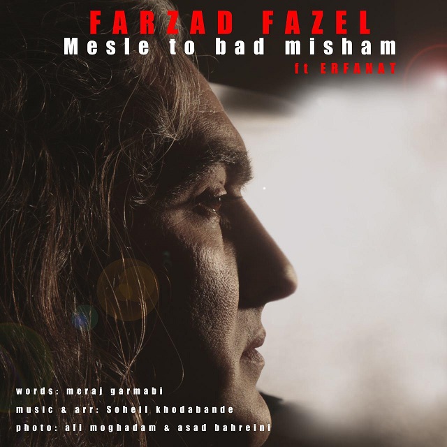 Farzad Fazel Ft Erfanat - Mesle To Bad Misham