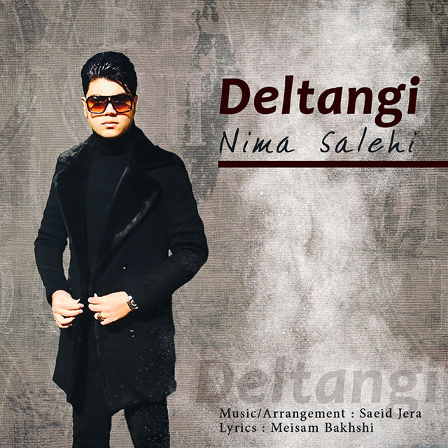 Nima Salehi - Deltangi