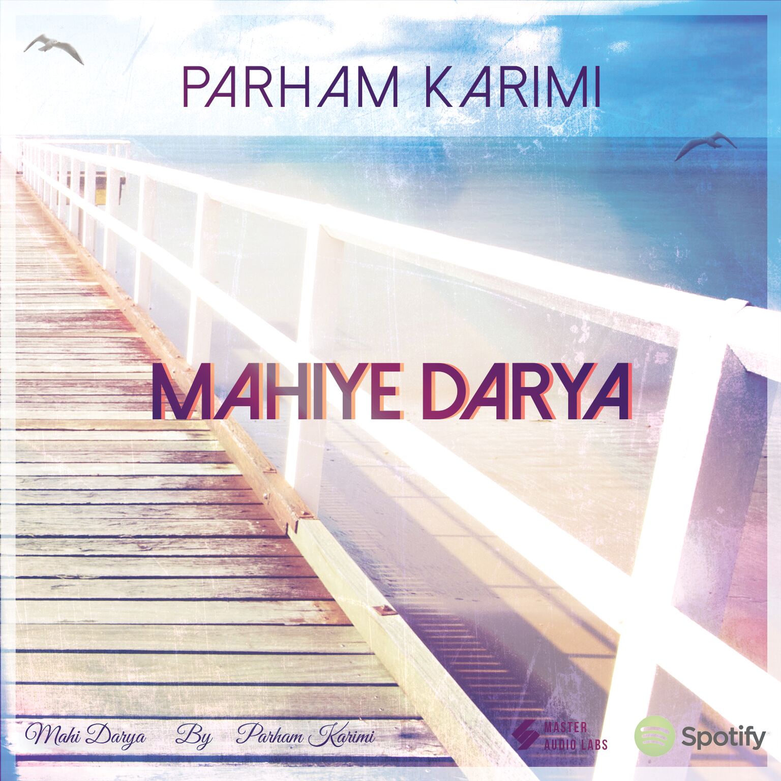 Parham Karimi - Mahiye Darya