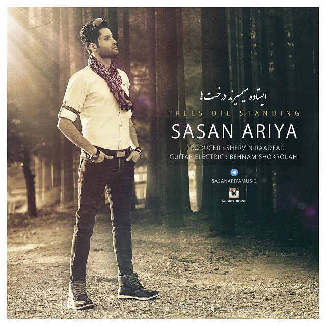 Sasan Ariya - Istade Mimirand Derakhta