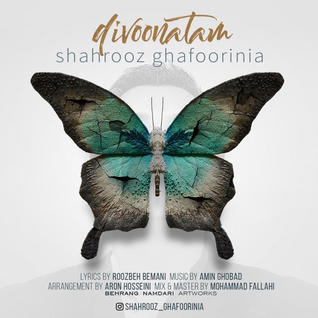 Shahrooz Ghafoori Nia - Divoonatam