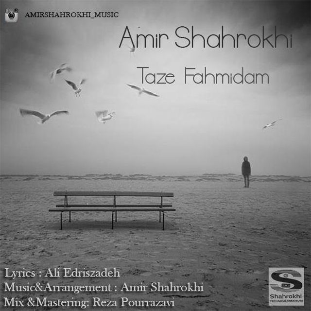 Amir Shahrokhi - Taze Fahmidam