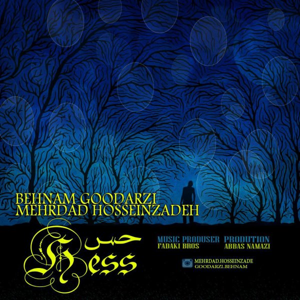 Behnam Goodarzi & Mehrdad Hosseinzadeh - Hess