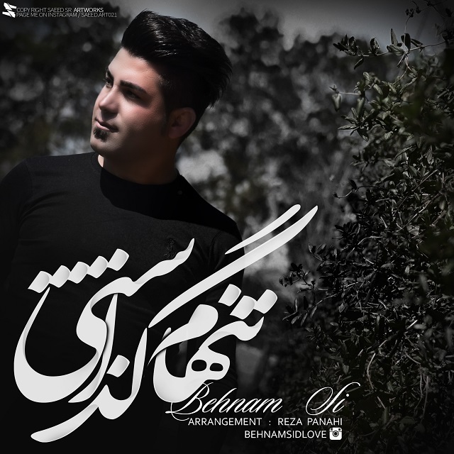 Behnam Si - Tanham Gozashti