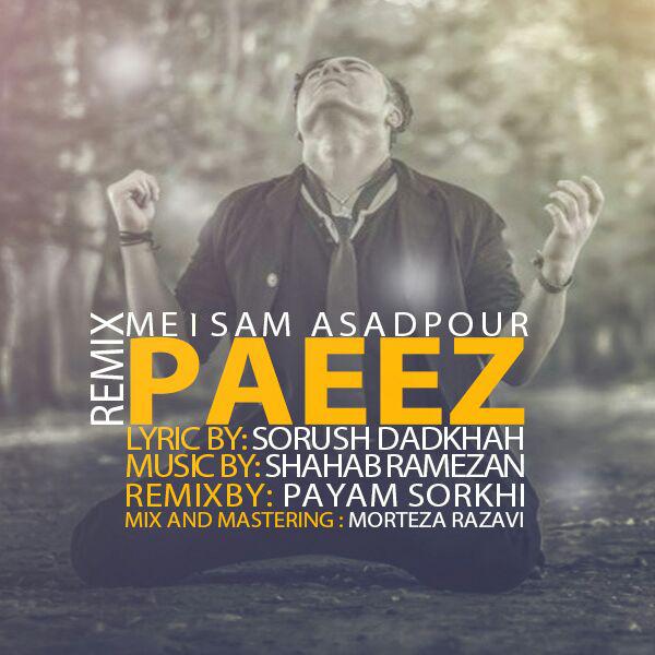 Meisam Asadpour - Remix Paeez