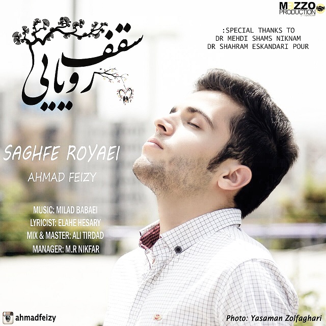 Ahmad Feizy - Saghfe Royaei