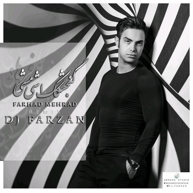 DJ Farzan - Gonjeshkake Ashimashi (Remix)