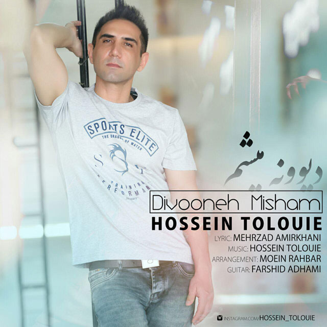 Hossein Tolouie - Divooneh M