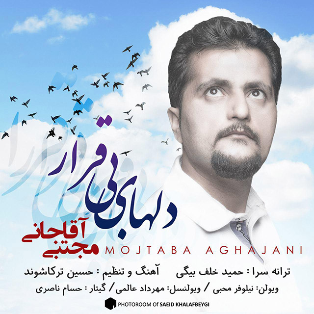 Mojtaba Aghajani - Delhaye Bigharar