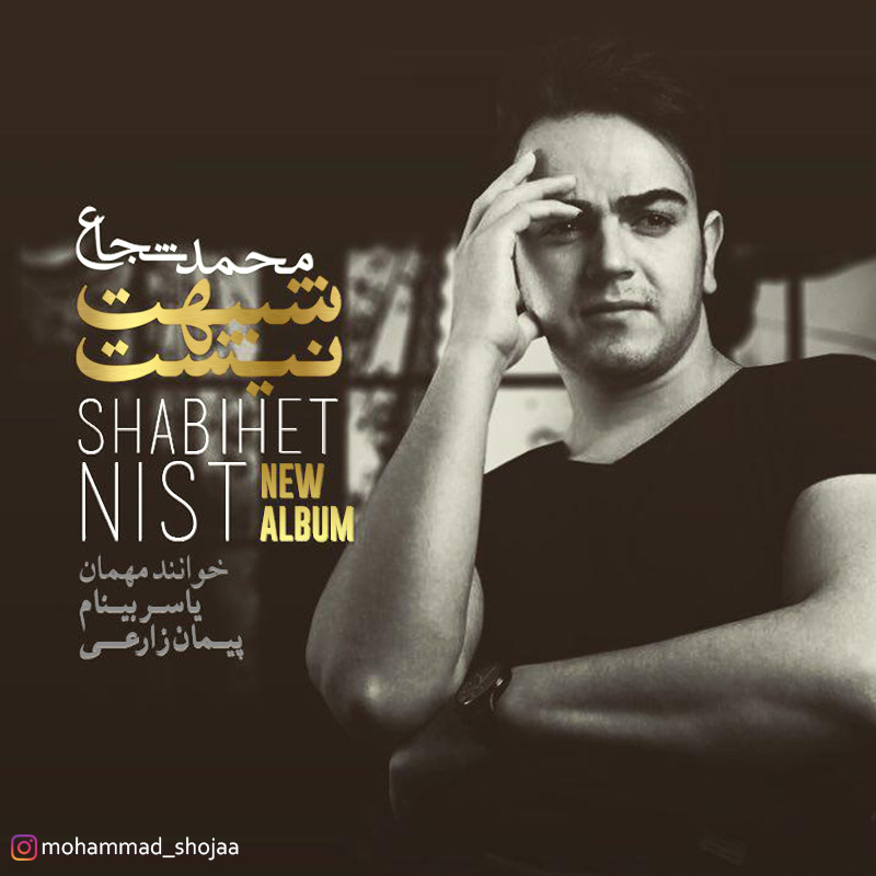 Mohammad Shojaa - Shabihet Nist