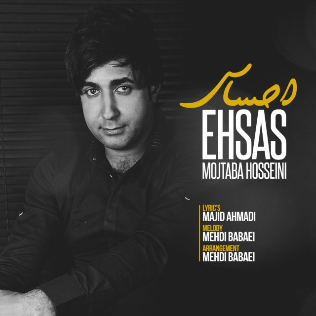 Mojtaba Hosseini - Ehsas