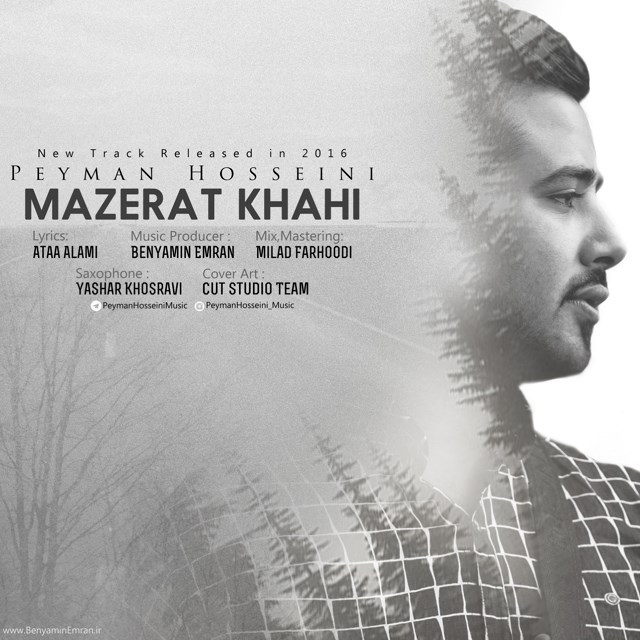 Peyman Hosseini - Mazerat Khahi