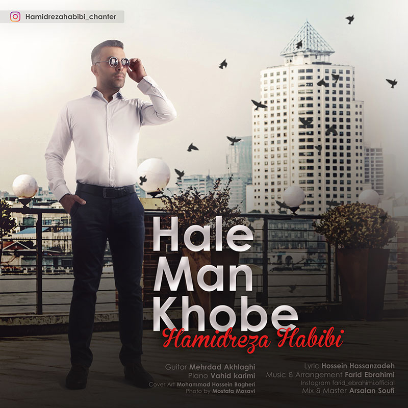 Hamidreza Habibi - Hale Man Khobe