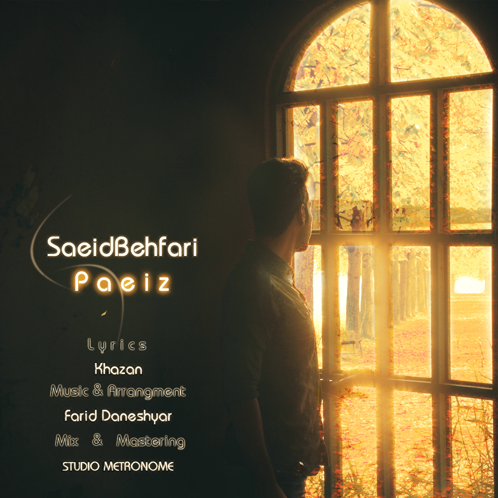 Saeid Behfari - Paeiz